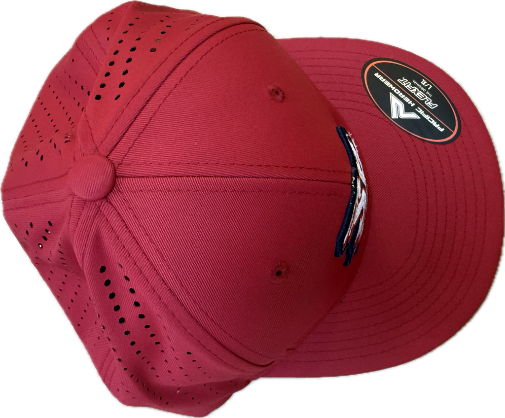 Silver Bullets hats